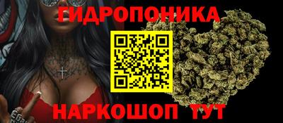 mdpv Лесосибирск
