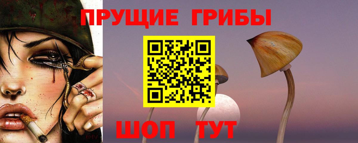 Галлюциногенные грибы мицелий Железногорск